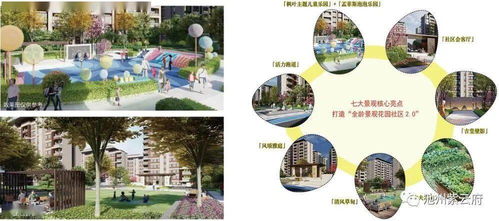 944天下彩网免费入口2|全面解答解释落实_体育版.0.560