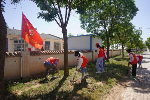 2024年新澳门夭夭奖免费查询|未来解答解释落实_未来版THE.6.524