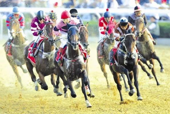马会传真—澳门正版资料下载|探索澳门的秘密与美景_适应款.9.524
