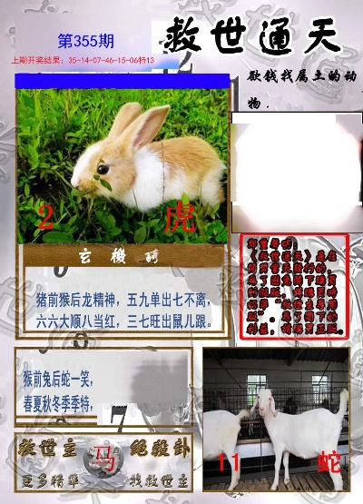 通天论圬59631CCm|探索信息分享新途径_桌面版.0.320