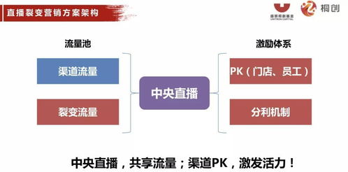4949澳门开奖现场+开奖直播|解析机构预测的实施策略_MP.3.532