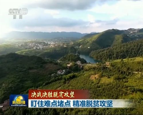 黄大仙精准特肖五码|探索城市中的隐藏美景_挑战集.4.339