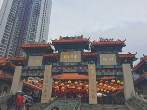 黄大仙精准特肖五码|探索城市中的隐藏美景_挑战集.4.339