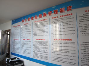 2024奥门正版精准资料|最新研究解释落实_精细款.0.818