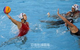 天下彩(9944cc)图文资讯二四六最新版v2.2.1|动态词语解释落实_半成版.4.636