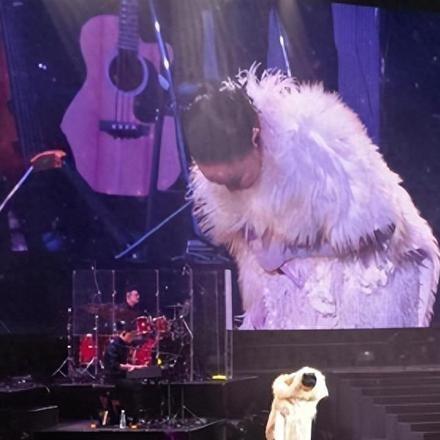 2024澳门挂牌|详细数据解释落实_tool.8.370