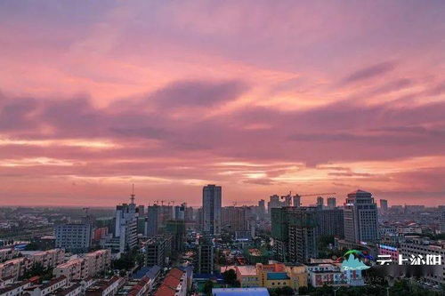 新奥彩今天最新消息查询|探寻城市中的隐秘美景_FHD品.6.923