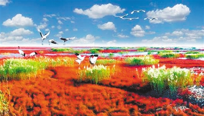 王中王中特网资料大全|探寻城市中的隐秘美景_创新版8.118