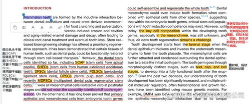 二四六天好彩944cc资料大全|绝对经典解释落实_转变集.8.957