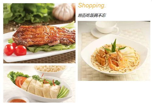 2024资料大全正版资料免费澳门|探寻城市里的美食秘密_演示款.1.137