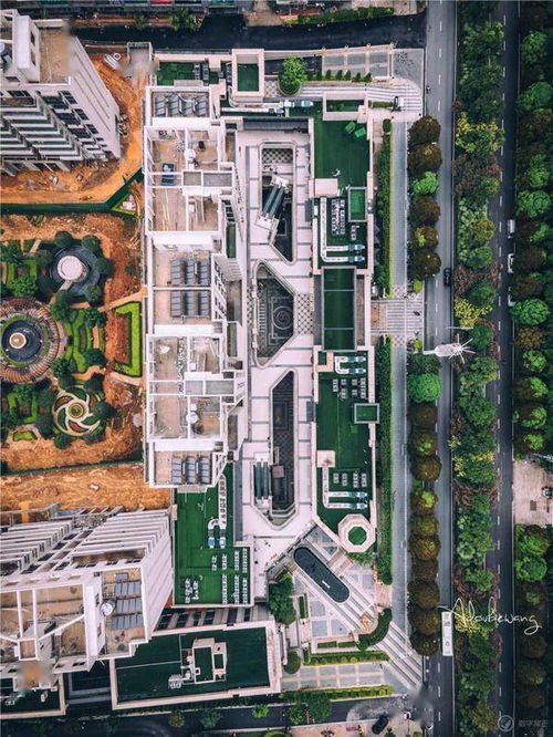 天下彩与天空彩资料免费|探索语言中动态词汇的意义_管家婆.2.424