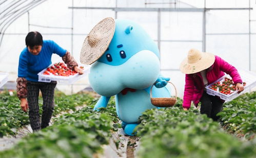 今晚开什么特马资料管家婆|探索世界各地的美食奇观_HD版.7.901