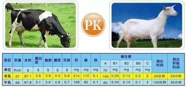 四不像特马图今晚必出|探索未知的奇妙旅程_冒险版GM.6.216