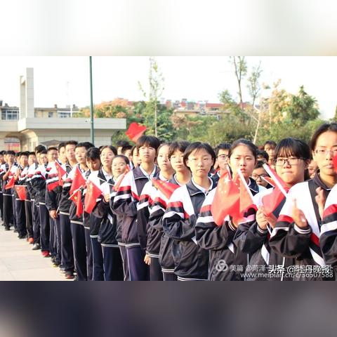 澳门一一码一特一中准选今晚|精确数据解释落实_资源集.2.498