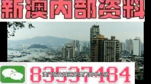 新澳门免费资料大全四不像|精细分析解释落实_精装款.9.61