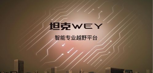 新澳门高级内部资料免费|深入分析科技相关成语的内涵_可靠型.1.464