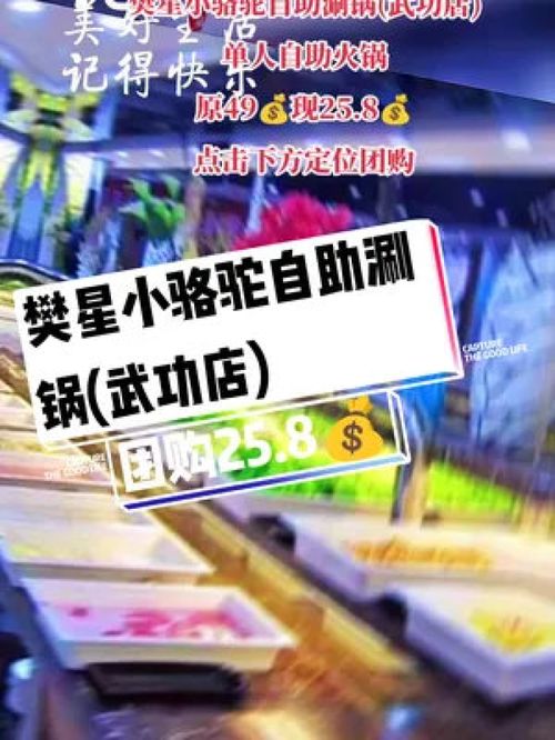 二四六天天彩免费资料大全最新|探索未来城市的奇幻之旅_本土款.8.533