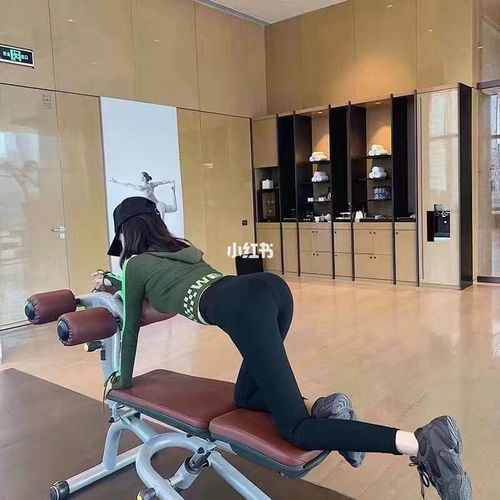 澳门彩走势分析图335期|动态词语解释落实_豪华款.1.412