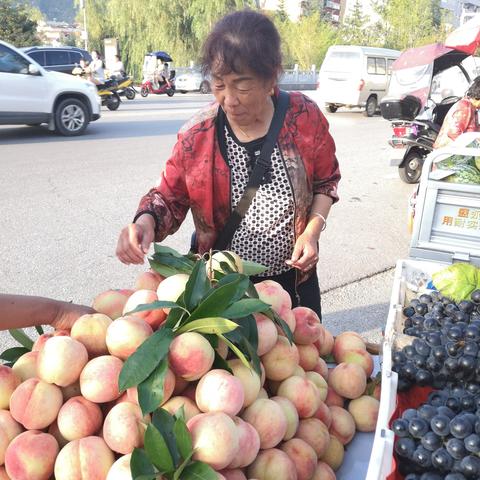 香港水果奶奶资料官网|探索新兴科技的无限可能_潮流版.1.877