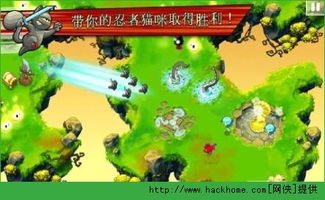 超级猫英雄生存地带官方版免费下载-超级猫英雄生存地带官方版联机下载最新版v.2.12