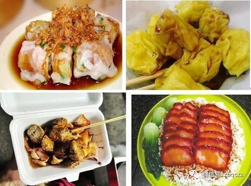 2024新澳今晚资料大全|探寻城市里的美食秘密_固定版.8.272 2024新澳今晚资料大全|探寻城市里的美食秘密_固定版.8.272