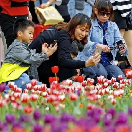 本港台最快最新消息今晚|探索澳门的无限魅力与精彩活动_开发品.2.117