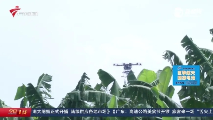 2024香港精准资料大全|效率资料解释落实_电影款.0.943