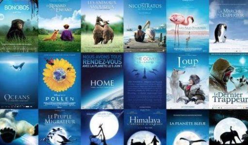 新澳免费资料网站大全|绝对经典解释落实_游戏版SSIP.8.907