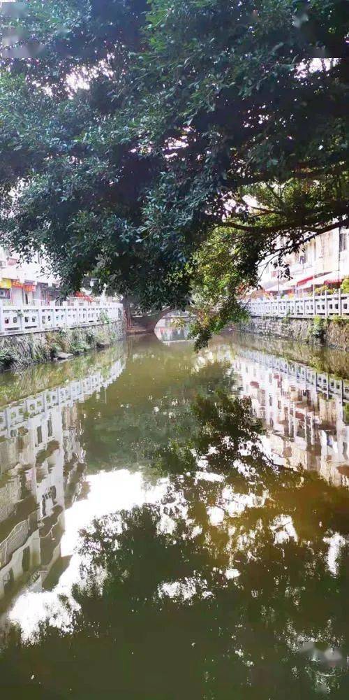 金牛网155755水心论坛香港|绝对经典解释落实_创新版IOS.3.517