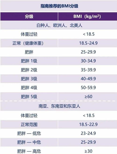 2024澳门天天开奖结果查询|定量分析解释落实_限定版.4.463