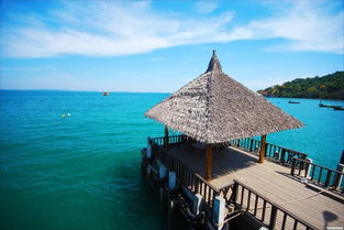 494949开奖结果查询|探秘美丽的海岛风情_本土款.6.651