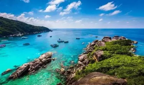 494949开奖结果查询|探秘美丽的海岛风情_本土款.6.651