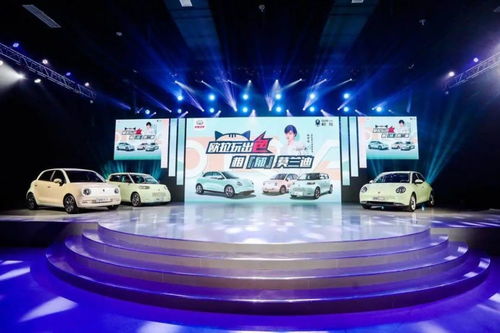 新澳门直播开奖直播免费观看|探索神秘文化之旅_Prime.1.821