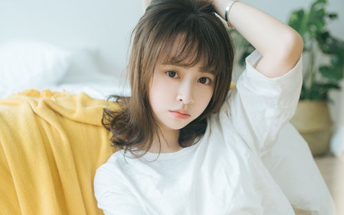 四不像生肖图正版安卓版|探索神秘财富的秘密之旅_PS.2.397