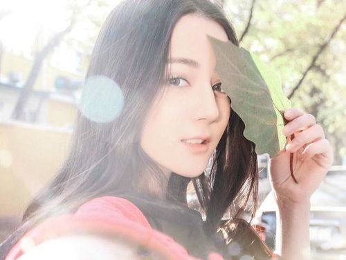 四不像生肖图正版安卓版|探索神秘财富的秘密之旅_PS.2.397