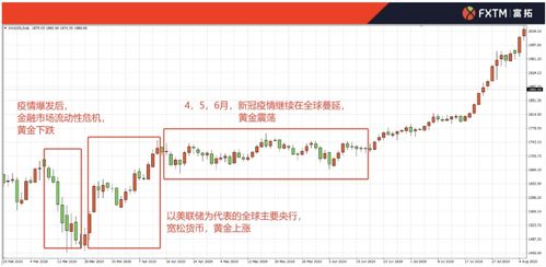 香港综合出号走势图分析最新版|探索新兴趋势与精彩故事_旗舰版IOS.2.600