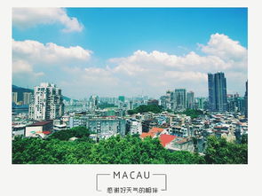 新澳门天天彩开奖结果查询|探寻城市中的隐秘美景_实验版.2.229