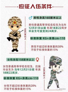 刘伯温全年资料免费大全|多元化的解读与应用策略_潜能集.3.384