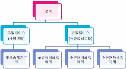 澳门一码一肖一特一中直播结果|实地数据解释落实_转变集.8.957
