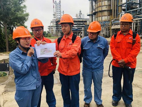 曾道正版资料免费大全网站|探索生活中的智慧与灵感_说明版.5.289