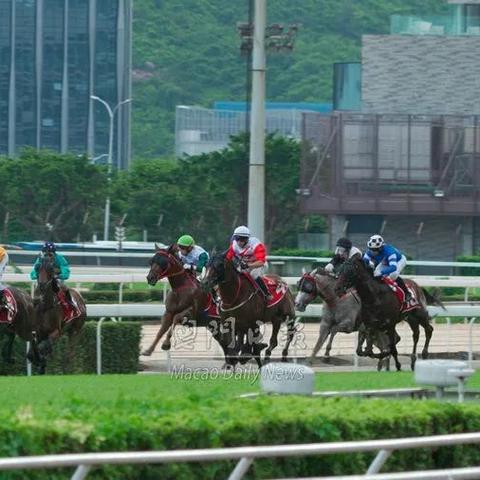 澳门传真内部绝密信封网址洞察|深入分析解释落实_适应款.9.524