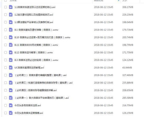 澳门资料大全水果奶奶|实地解答解释落实_单一版.6.184