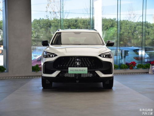 澳门最精准的三肖三码|探索语言中动态词汇的意义_领航款.4.176 澳门最精准的三肖三码|探索语言中动态词汇的意义_领航款.4.176