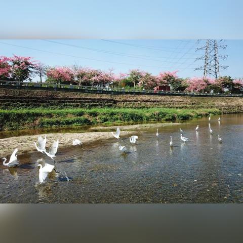 135hk特区总站资料全年资点48|自然之美与心灵之旅_效率版.2.830