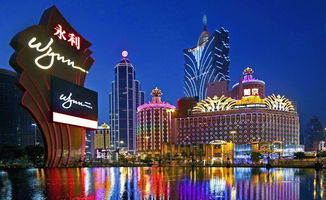 2024年澳门四不像今晚图片|探索澳门魅力的另一面_特定款.3.151