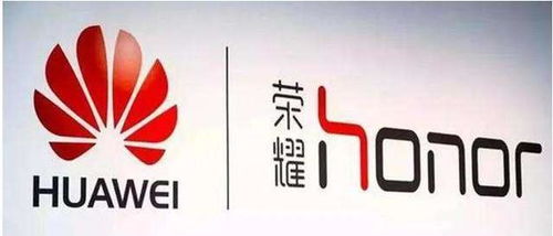 澳门挂牌最快资料免费全篇|探寻幸运密码与生活智慧_典藏集.7.462