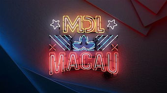 2021全年免费正版资料|探秘澳门独特魅力与文化_纪念版.0.916