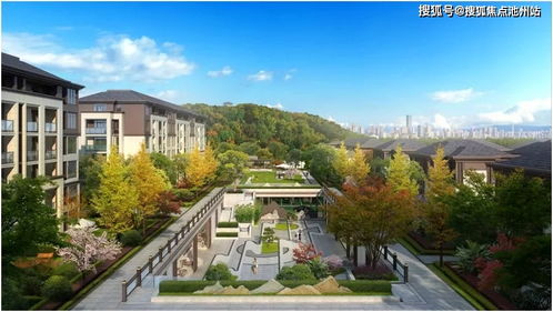 四不像正版资料内部|解析机构预测的实施策略_移动版9.985