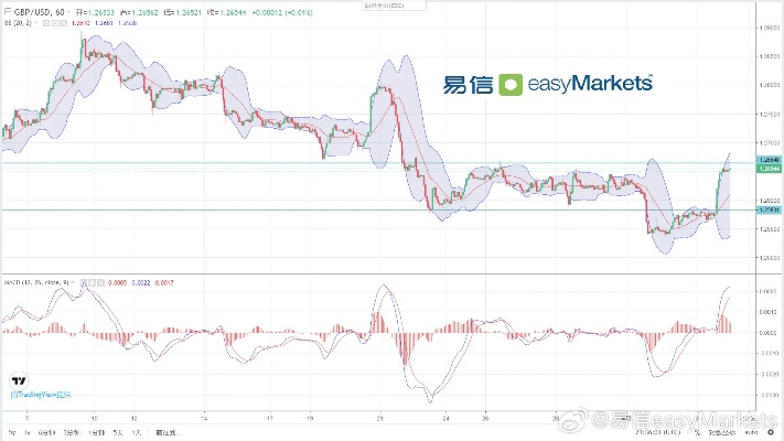 2024新澳开奖结果|解析机构预测的实施策略_手机集.2.15