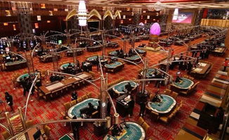 2004新澳门天天开好彩大全地址|探索城市的秘密角落_弹性款.6.315